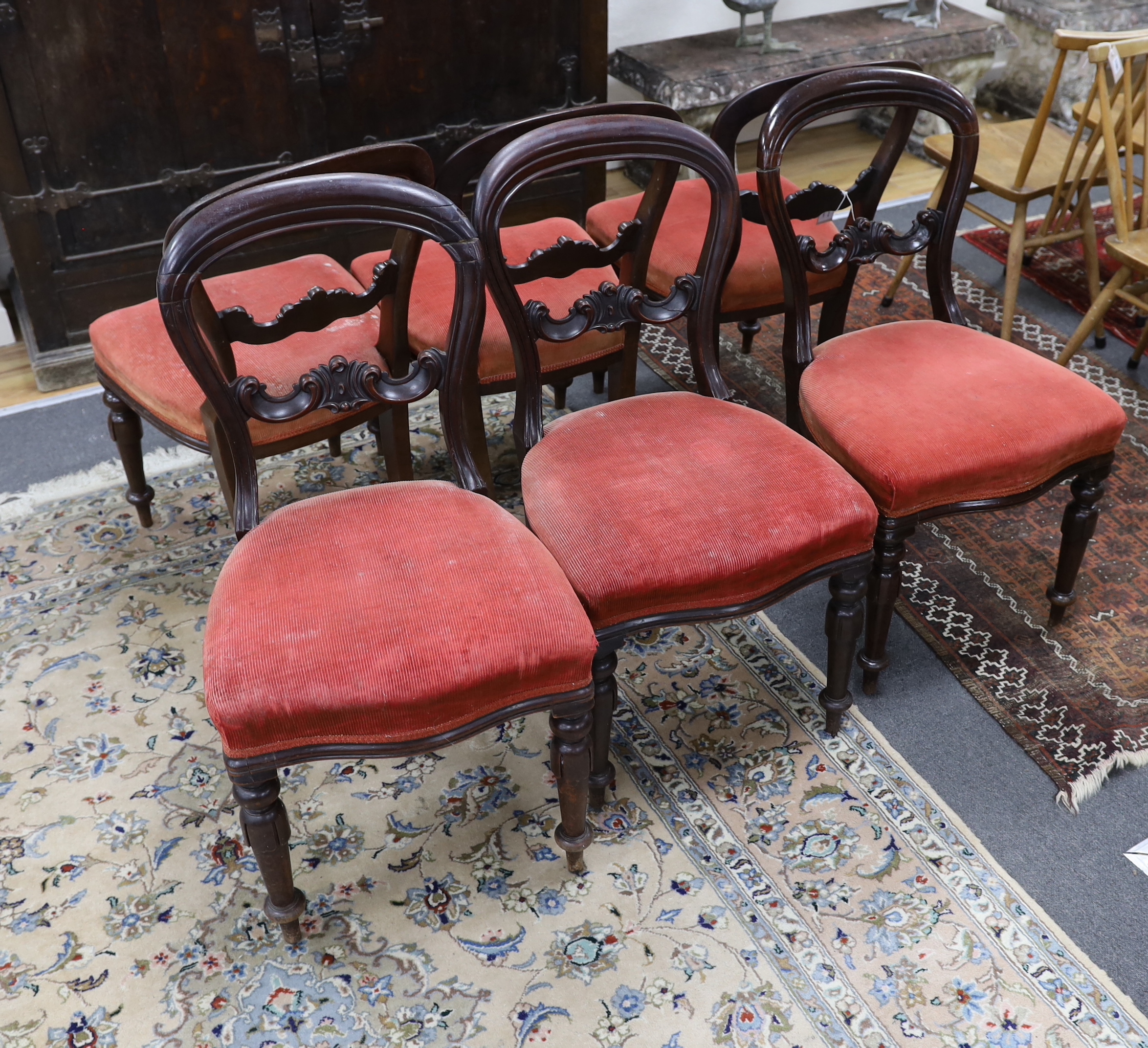 A set of six Victorian balloon back dining chairs